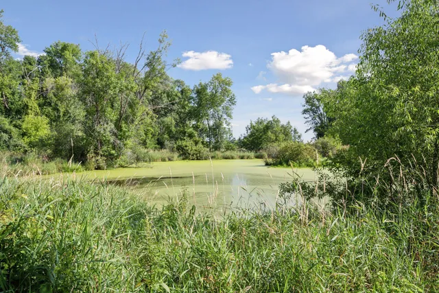 $485,000 | 51823 Birch Avenue, Rush City, MN 55069