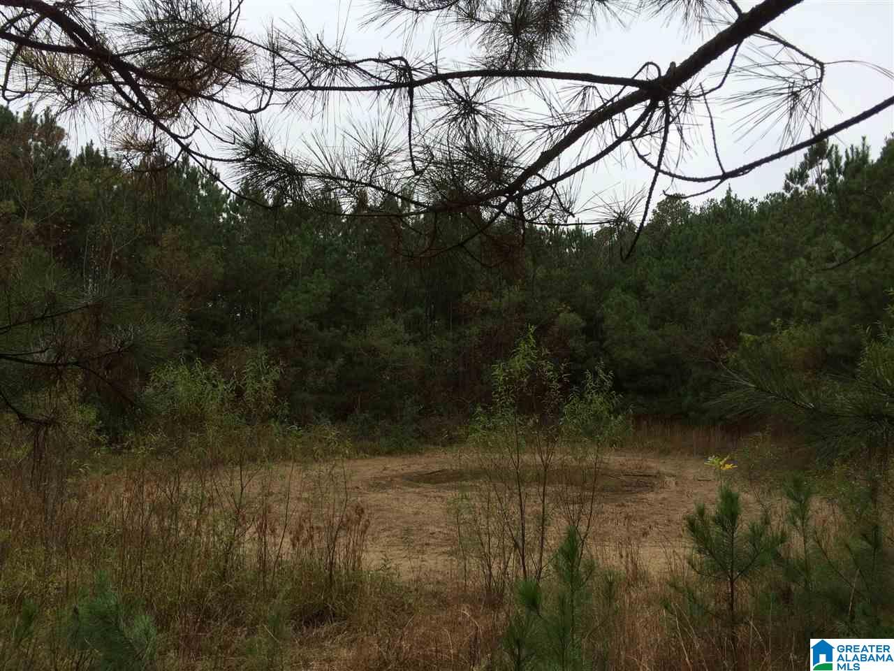 Page Spring Road, Unit 4 Arab, AL 35016 - Photo 16 of 29
