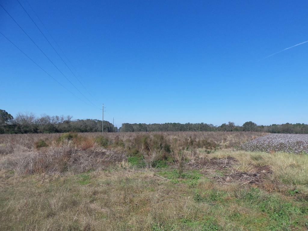 0 Mt Zion Road Camilla, GA 31730 - Photo 1 of 1 Main View