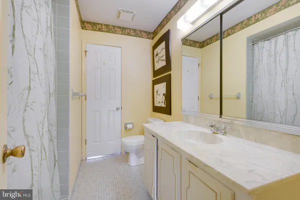 a bathroom with a granite countertop sink a toilet and shower