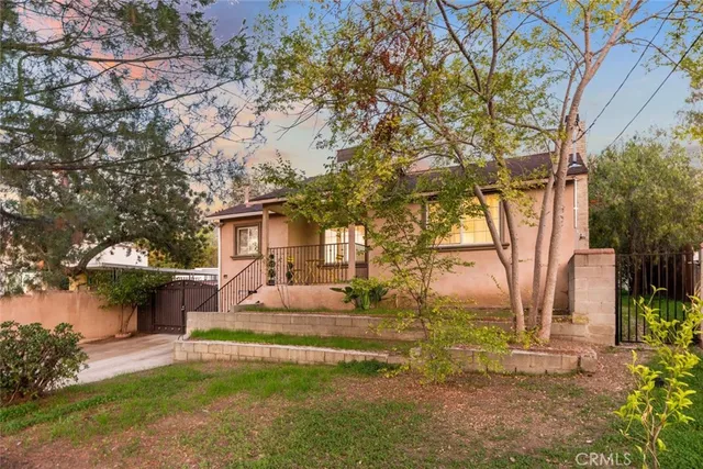 a view of a park with bench and trees