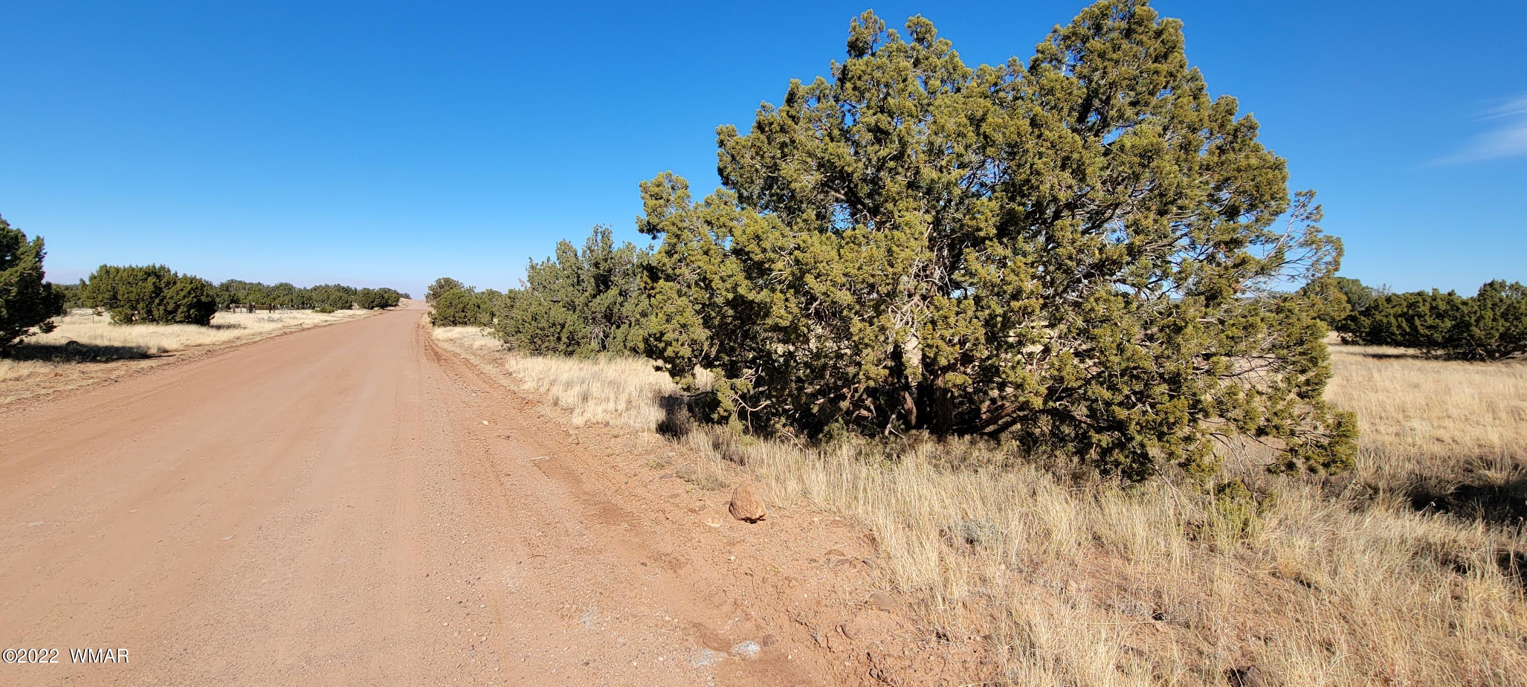 2477 Jay Road Show Low, AZ 85901 - Photo 2 of 12 20221109_130725
