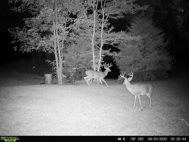 6150 Bridgeville Road Brooksville, KY 41004 - Photo 11 of 37 Gallery Image 11