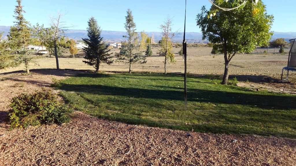 3708 2000 Road Delta, CO 81416 - Photo 6 of 42