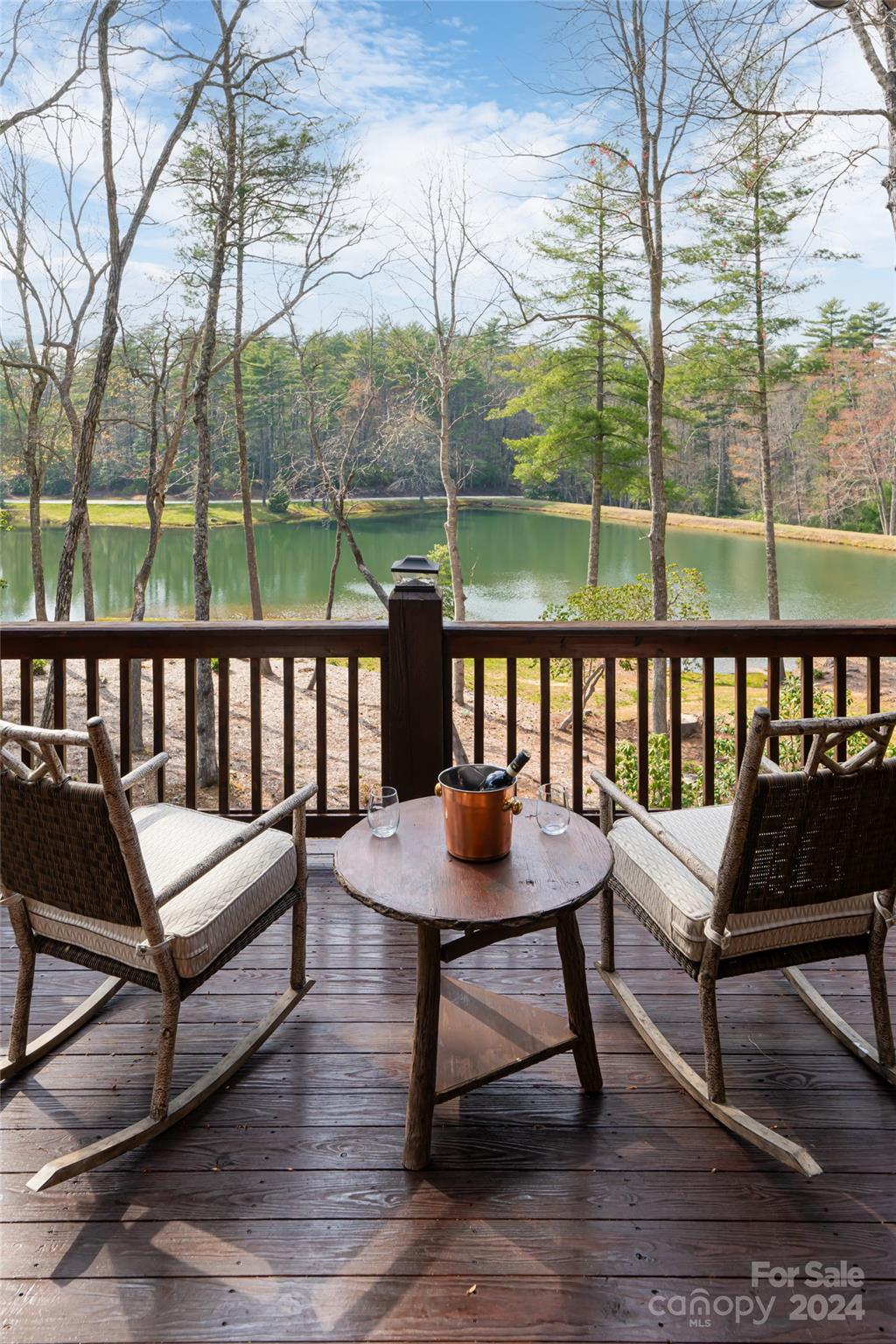 429 Marshall Lake Road Cedar Mountain, NC 28718 - Photo 19 of 43