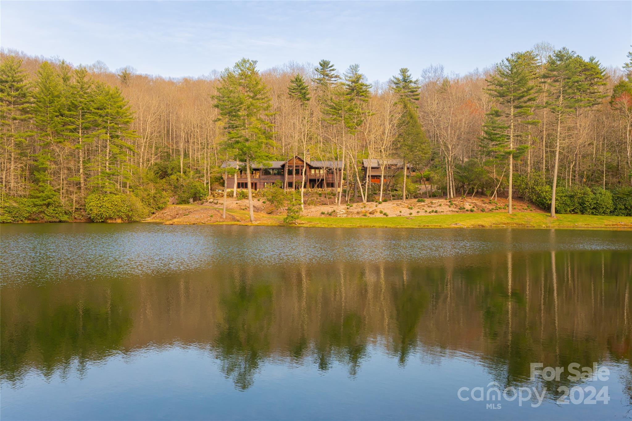 429 Marshall Lake Road Cedar Mountain, NC 28718 - Photo 2 of 43