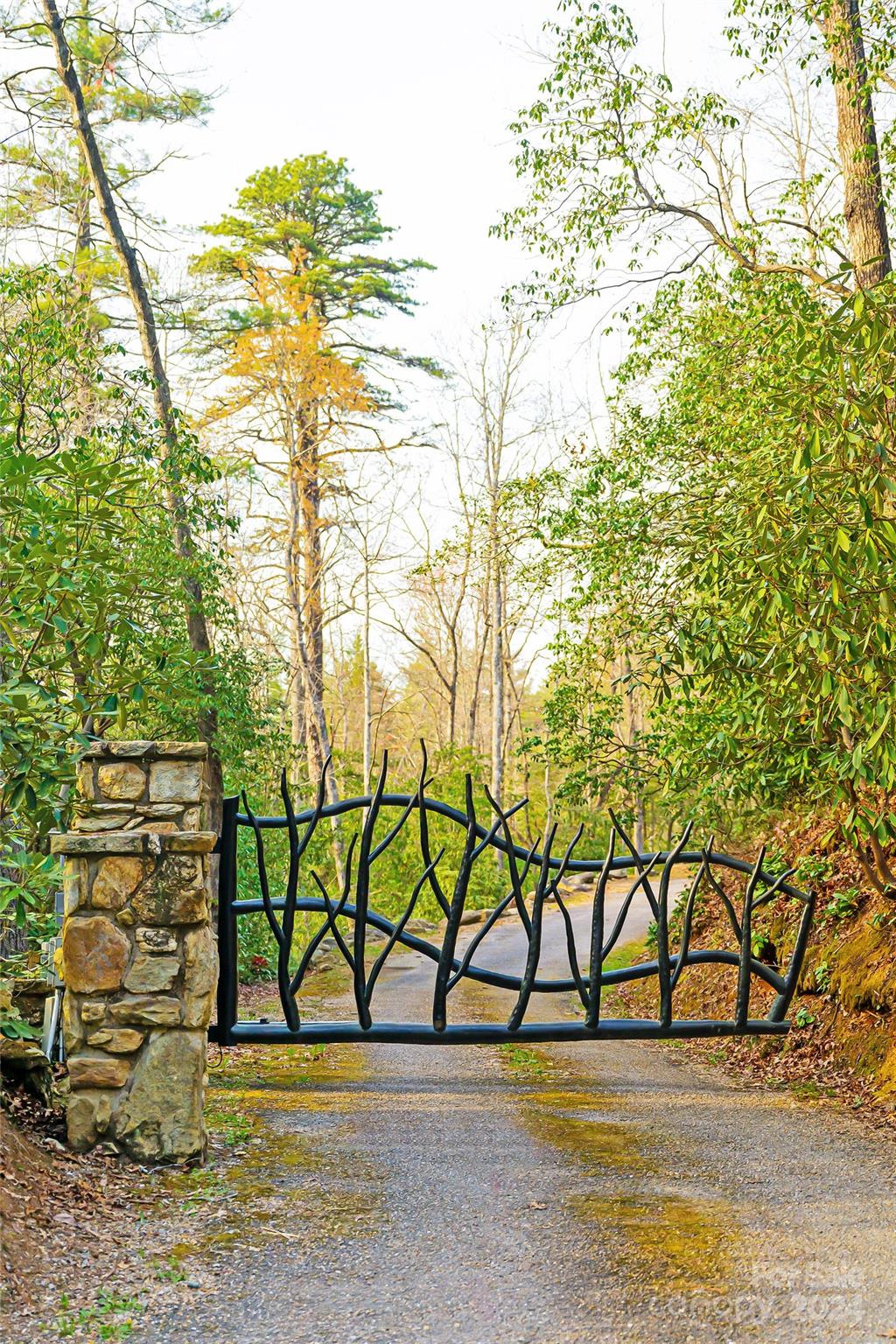 429 Marshall Lake Road Cedar Mountain, NC 28718 - Photo 4 of 43