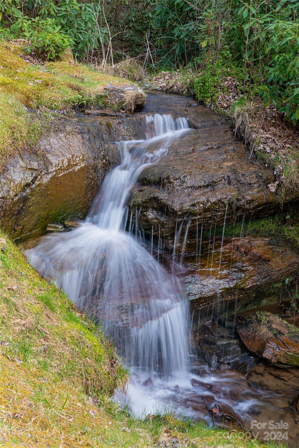 429 Marshall Lake Road Cedar Mountain, NC 28718 - Photo 41 of 43