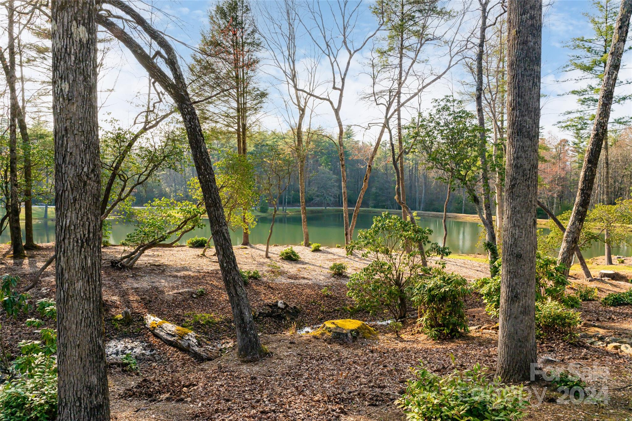 429 Marshall Lake Road Cedar Mountain, NC 28718 - Photo 8 of 43
