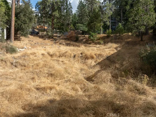 $659,000 | 42893 Scenic Drive, Oakhurst, CA 93644