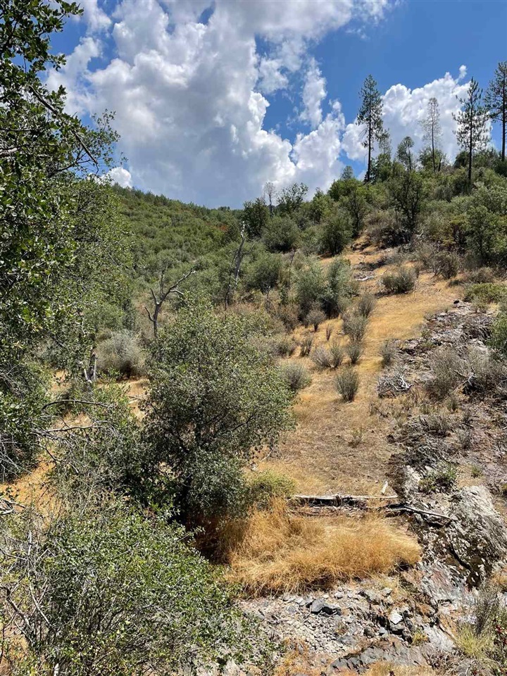Bull Creek Road Coulterville, CA 95311 - Photo 11 of 24 a view of a yard