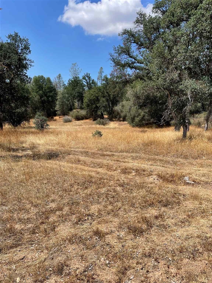 Bull Creek Road Coulterville, CA 95311 - Photo 14 of 24