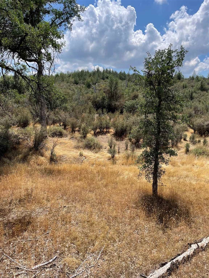 Bull Creek Road Coulterville, CA 95311 - Photo 24 of 24