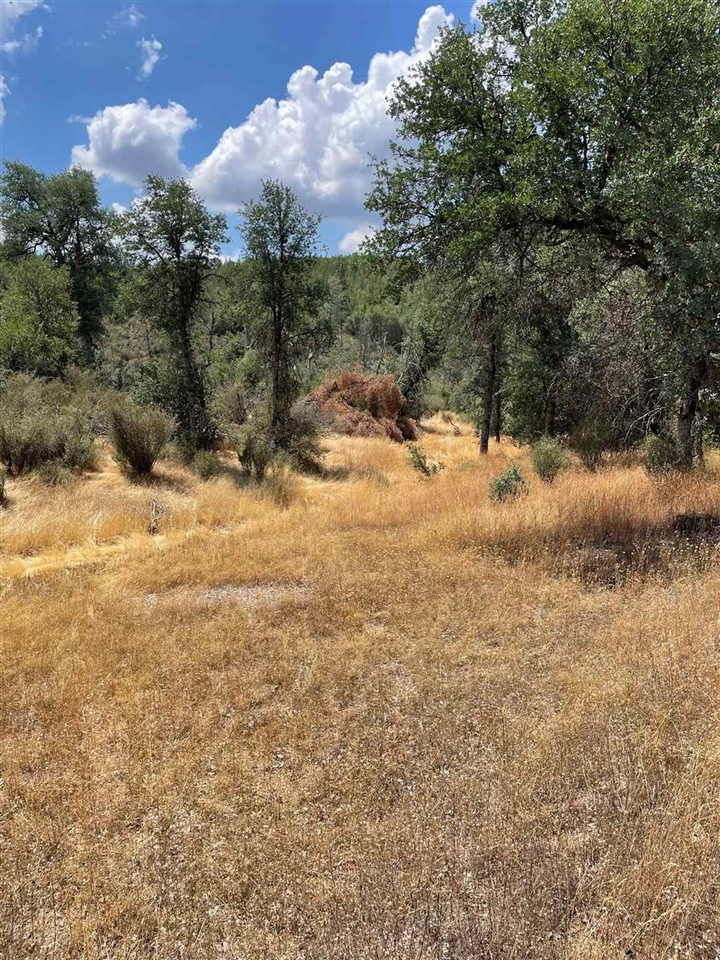 Bull Creek Road Coulterville, CA 95311 - Photo 3 of 24