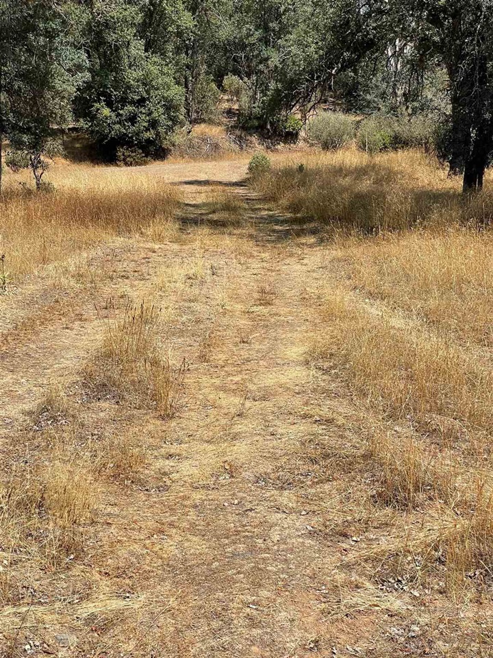 Bull Creek Road Coulterville, CA 95311 - Photo 4 of 24 a view of ocean view