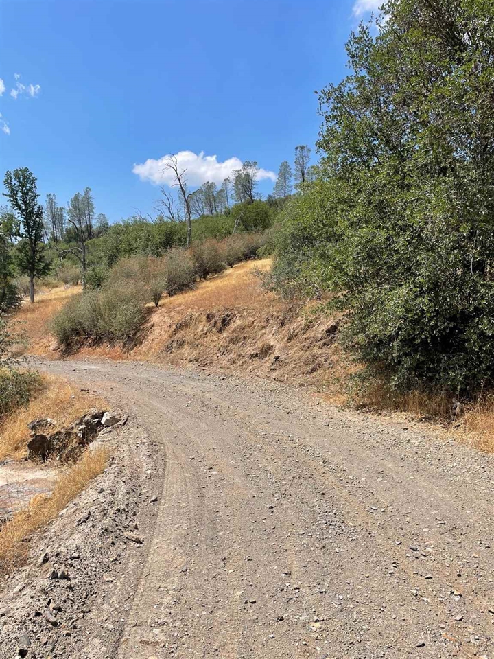 Bull Creek Road Coulterville, CA 95311 - Photo 5 of 24