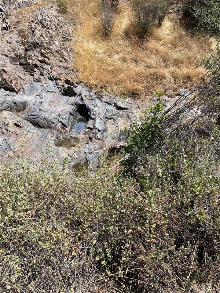 Bull Creek Road Coulterville, CA 95311 - Photo 10 of 24