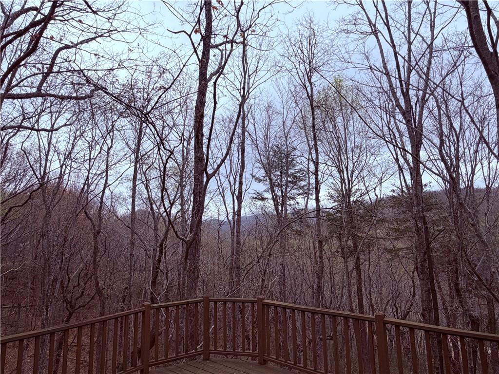 496 Mulligan Way Jasper, GA 30143 - Photo 2 of 47