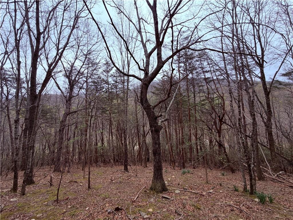 496 Mulligan Way Jasper, GA 30143 - Photo 23 of 47