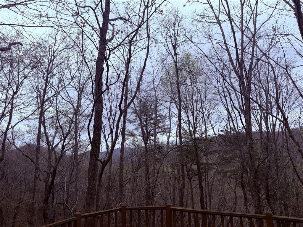 496 Mulligan Way Jasper, GA 30143 - Photo 24 of 47