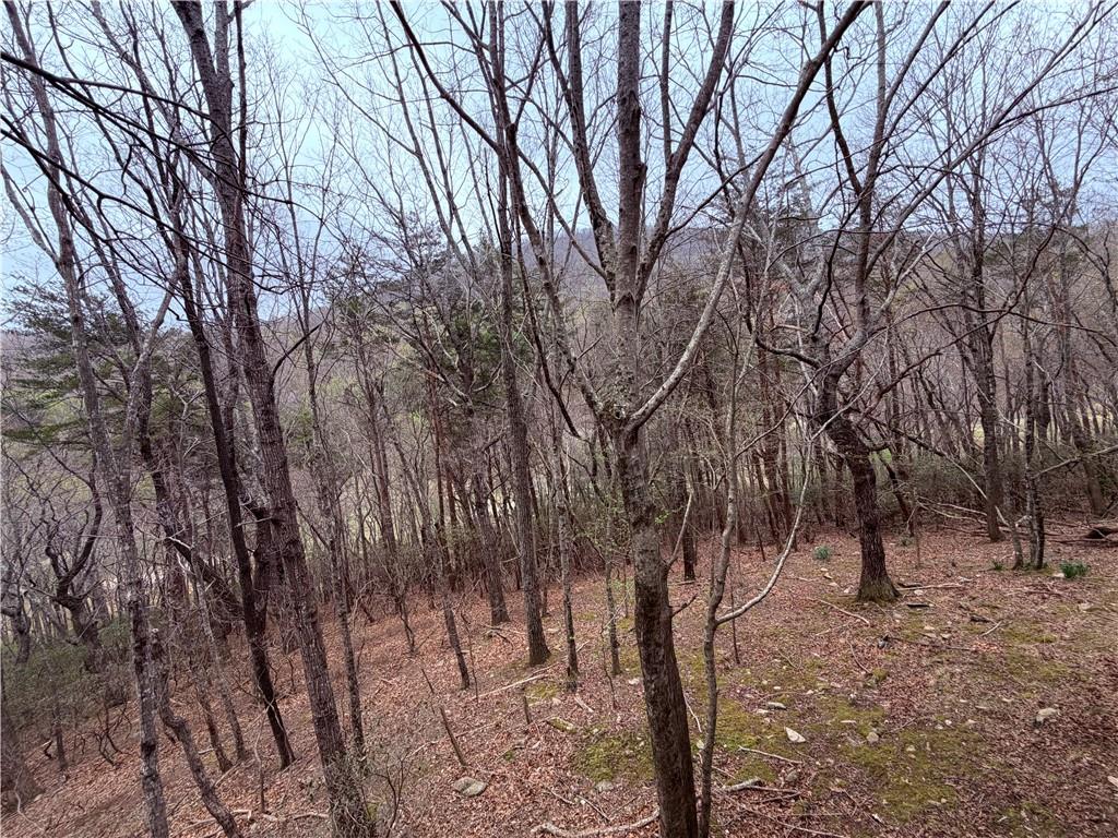 496 Mulligan Way Jasper, GA 30143 - Photo 26 of 47