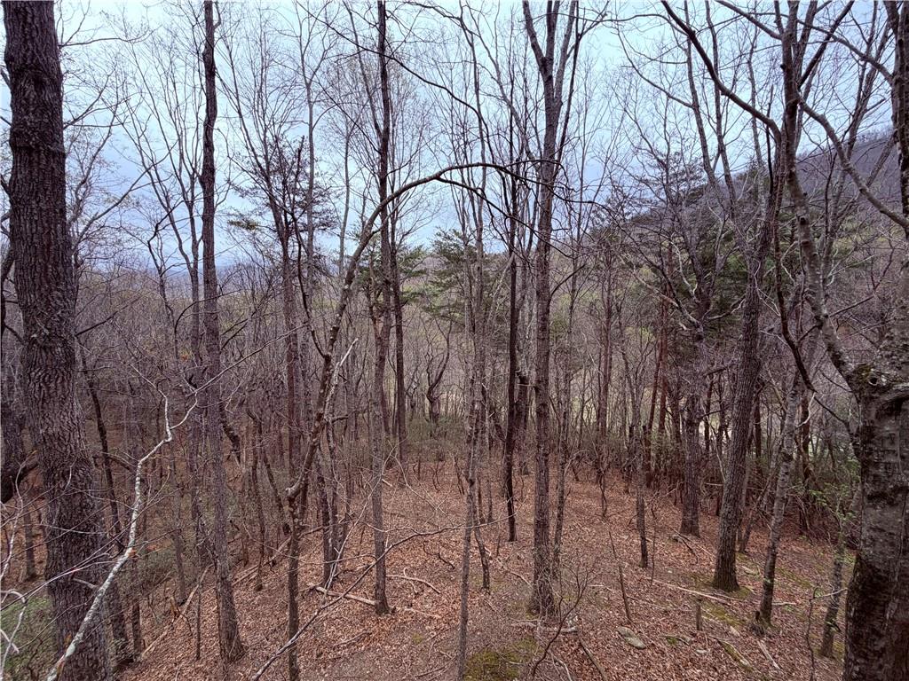 496 Mulligan Way Jasper, GA 30143 - Photo 27 of 47