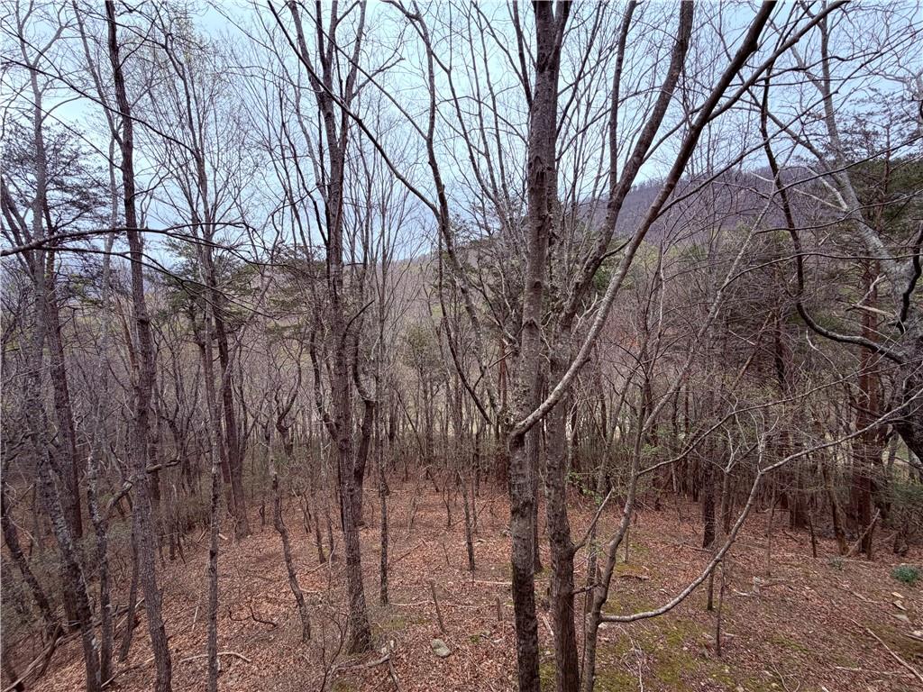 496 Mulligan Way Jasper, GA 30143 - Photo 28 of 47