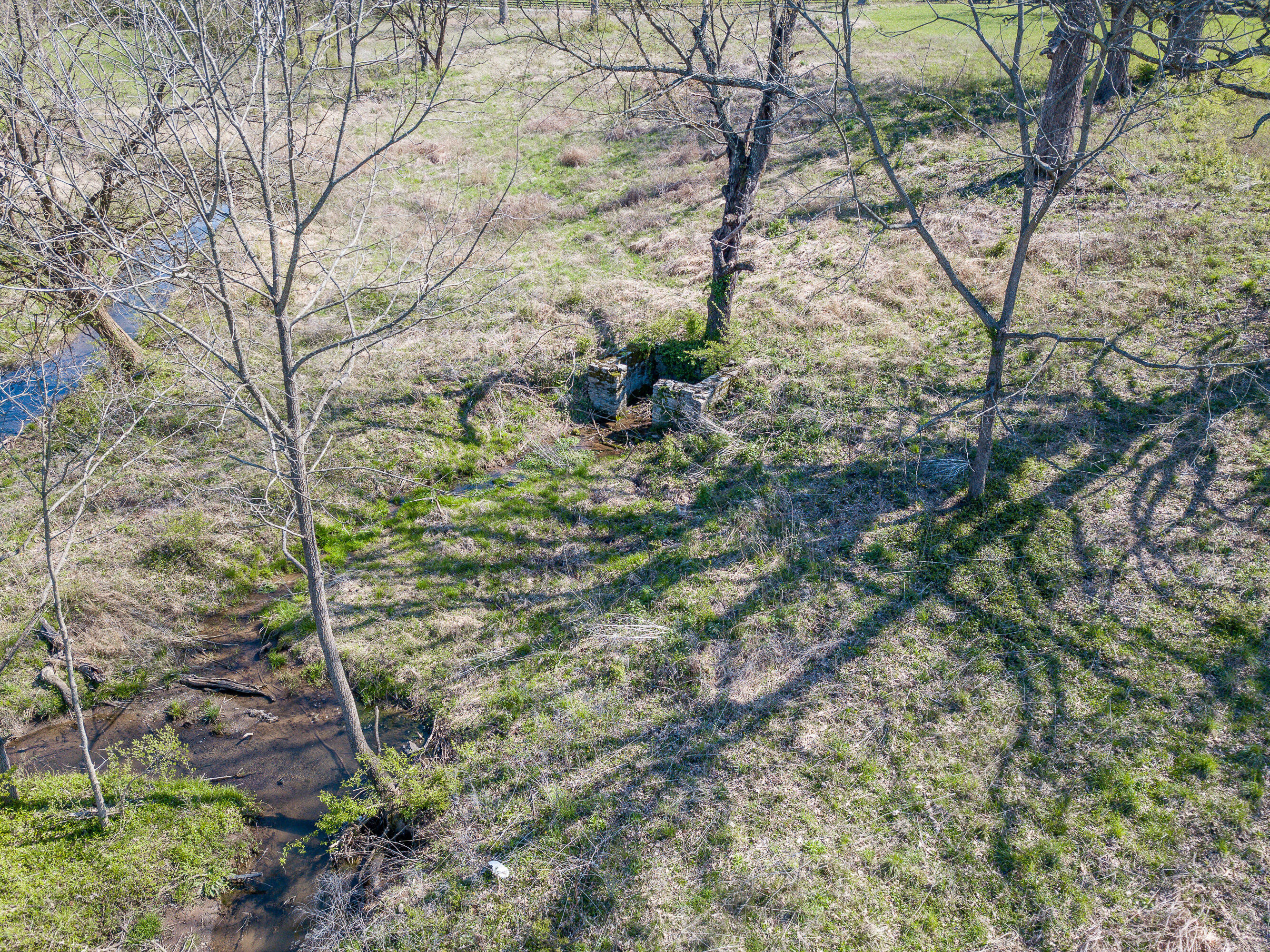 1200 Clifton Road Versailles, KY 40383 - Photo 10 of 13 1-12