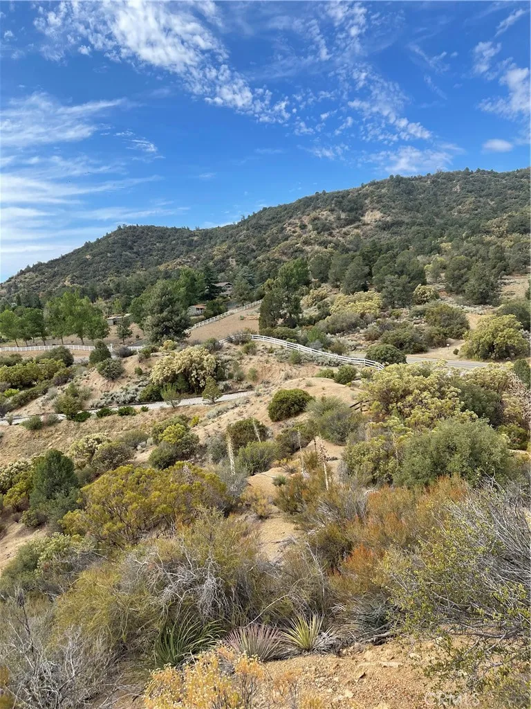 2 Goldshot Creek Road Mountain Center, CA 92561 - Photo 13 of 13 a view of a field