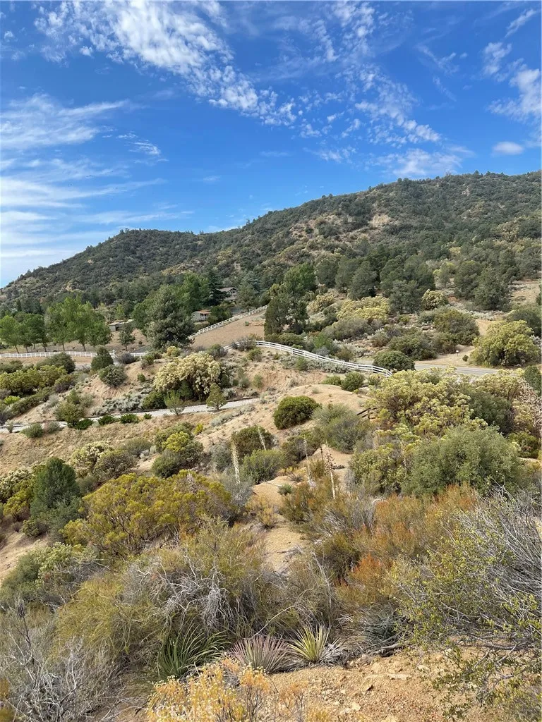 2 Goldshot Creek Road Mountain Center, CA 92561 - Photo 13 of 13 a view of a field