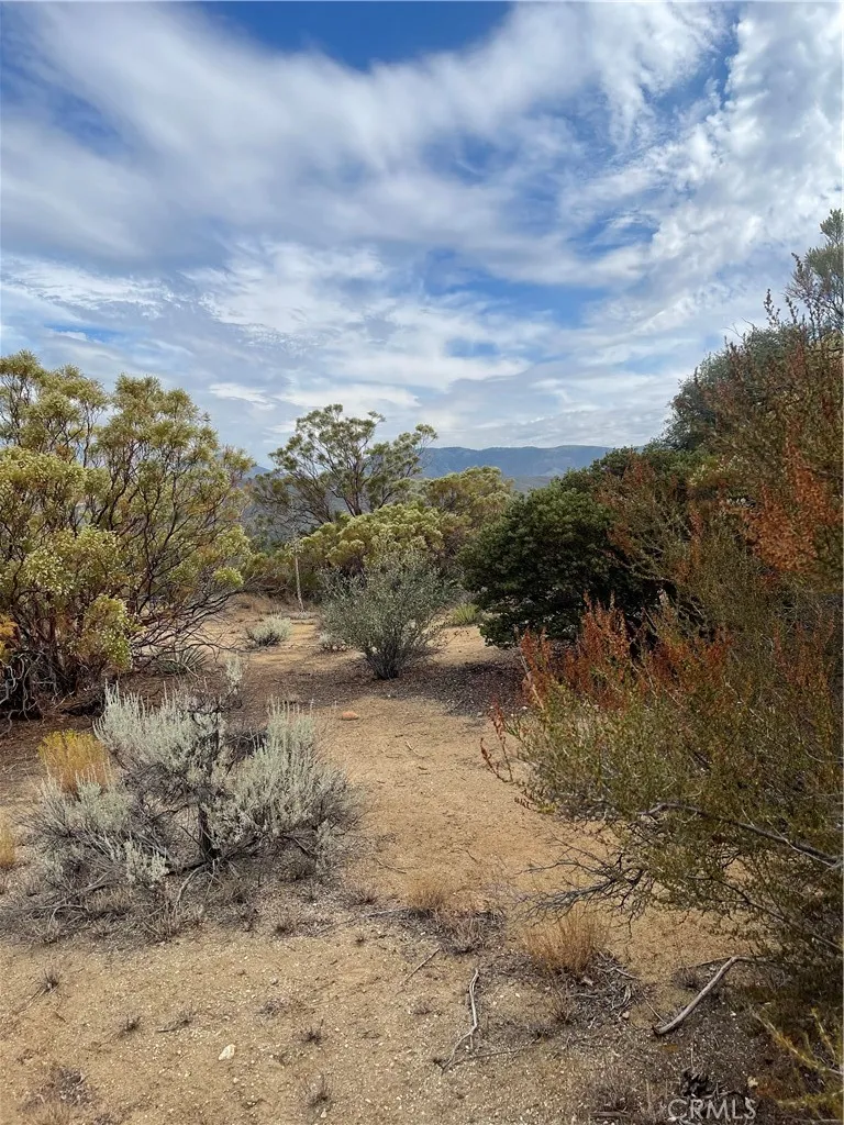 2 Goldshot Creek Road Mountain Center, CA 92561 - Photo 3 of 13 a view of a dry yard with lots of bushes