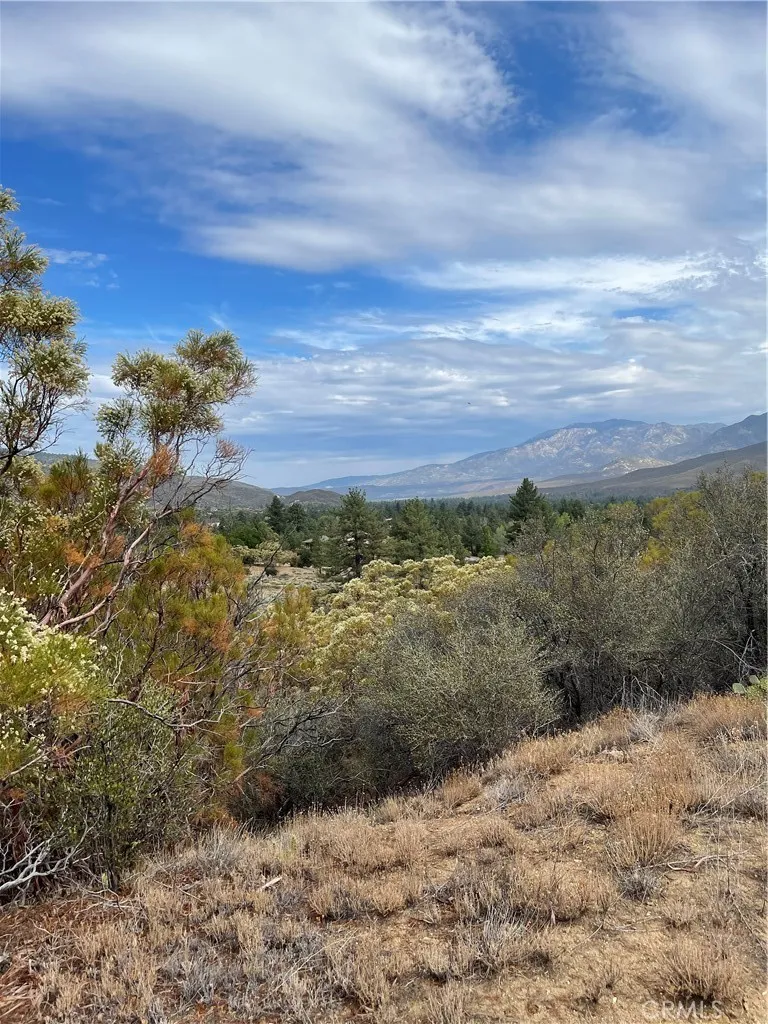 2 Goldshot Creek Road Mountain Center, CA 92561 - Photo 8 of 13 a view of a yard