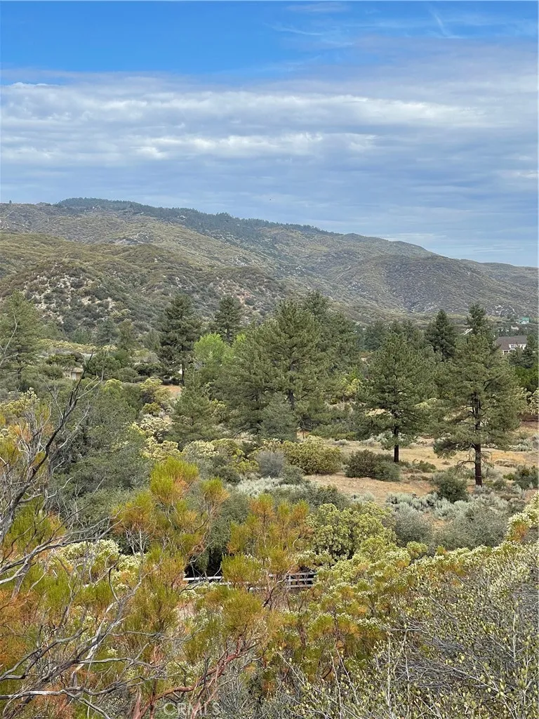 2 Goldshot Creek Road Mountain Center, CA 92561 - Photo 10 of 13 a view of an ocean