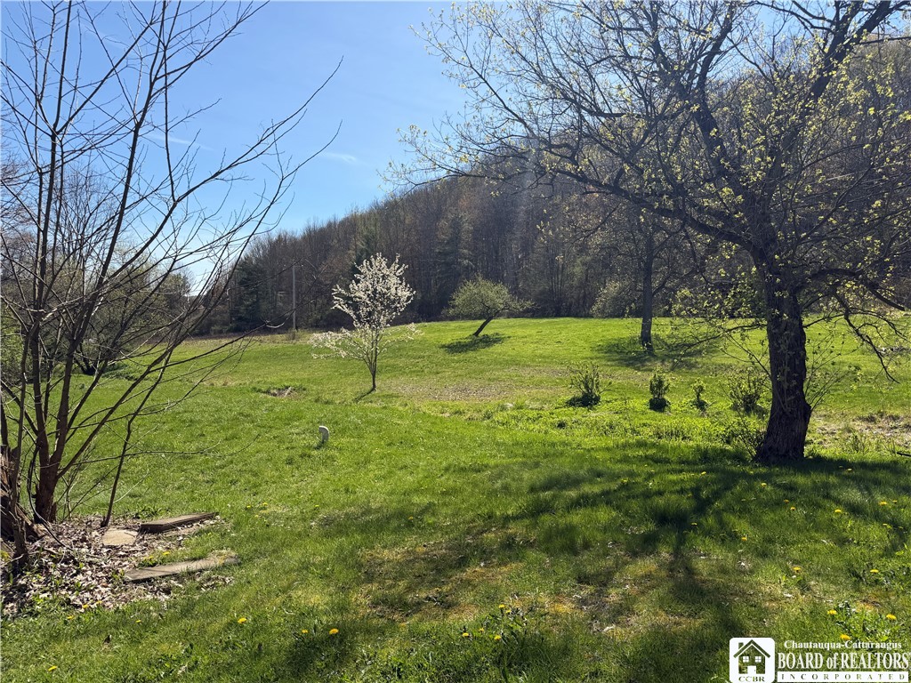 988 East Windfall Road Portville, NY 14760 - Photo 32 of 32