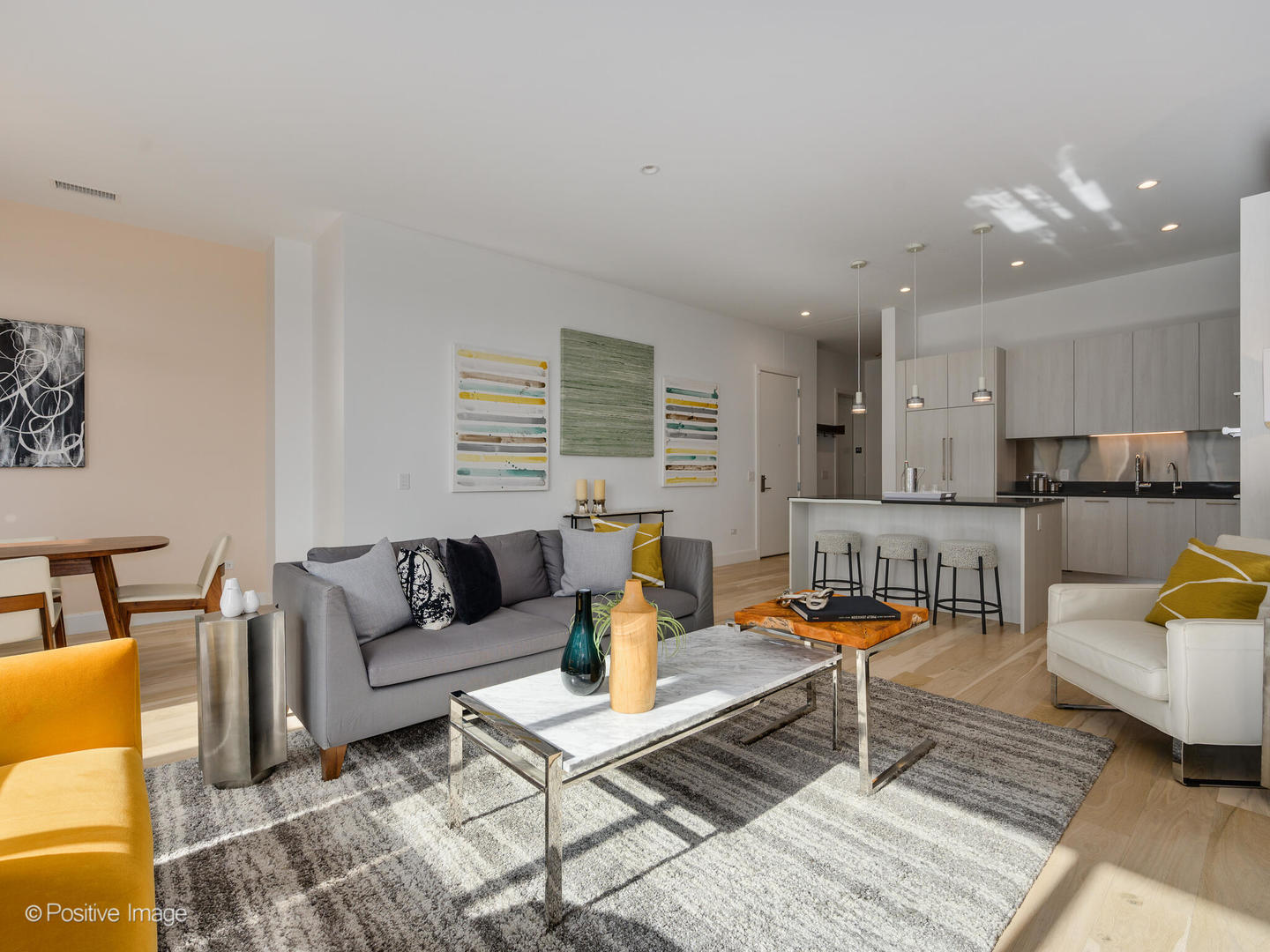 39 North Aberdeen Street, Unit 4S Chicago, IL 60607 - Photo 12 of 25 a living room with furniture and kitchen view