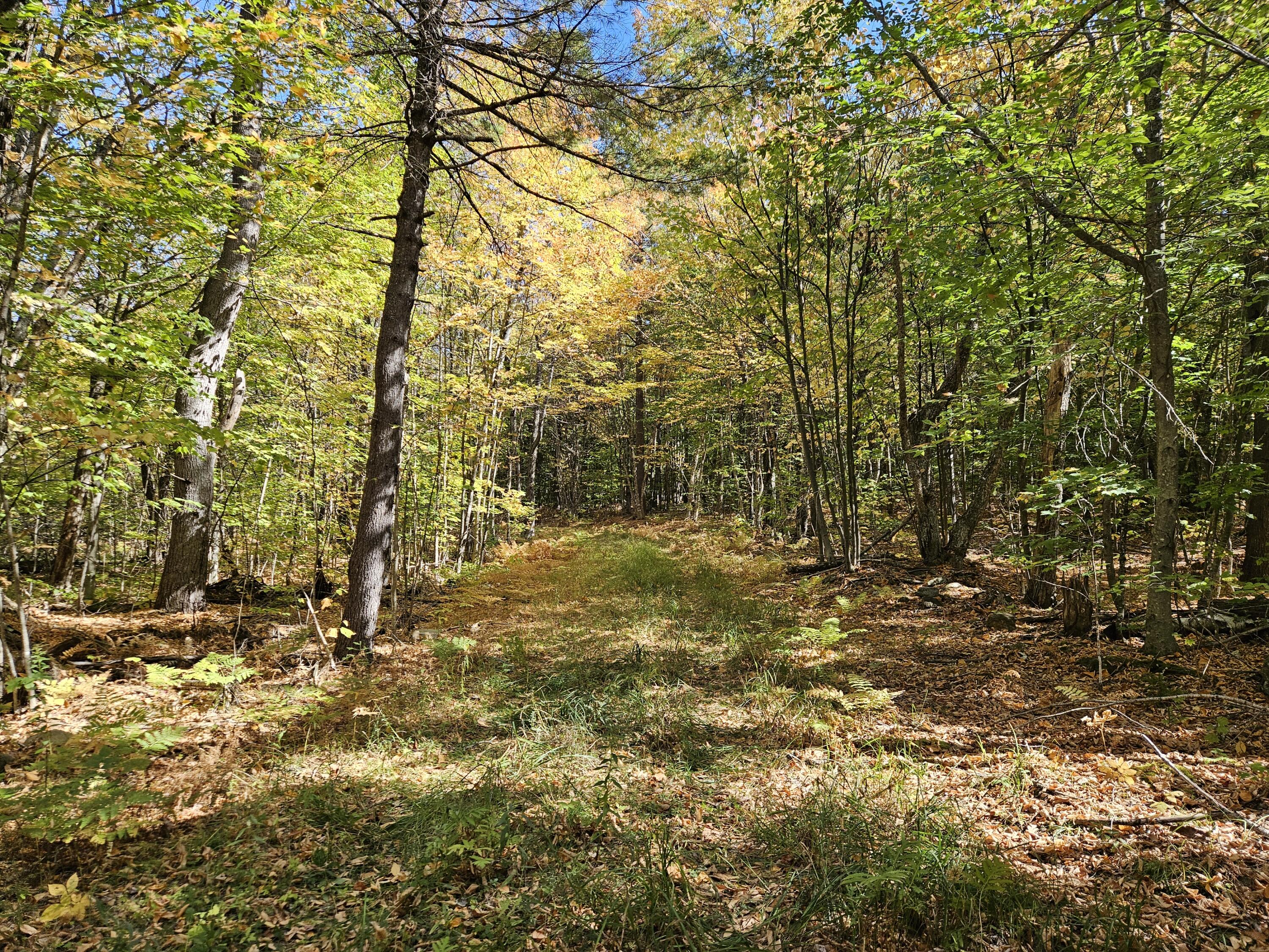 0 Canton Mountain Road Canton, ME 04221 - Photo 64 of 93