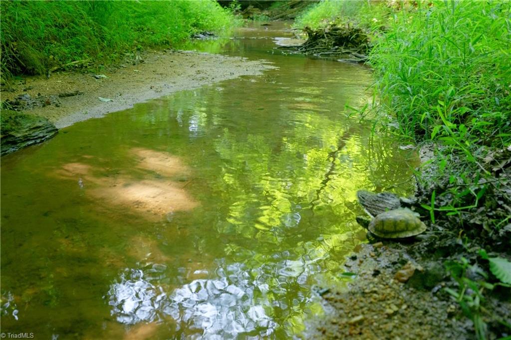 0 Todd Road Advance, NC 27006 - Photo 21 of 45