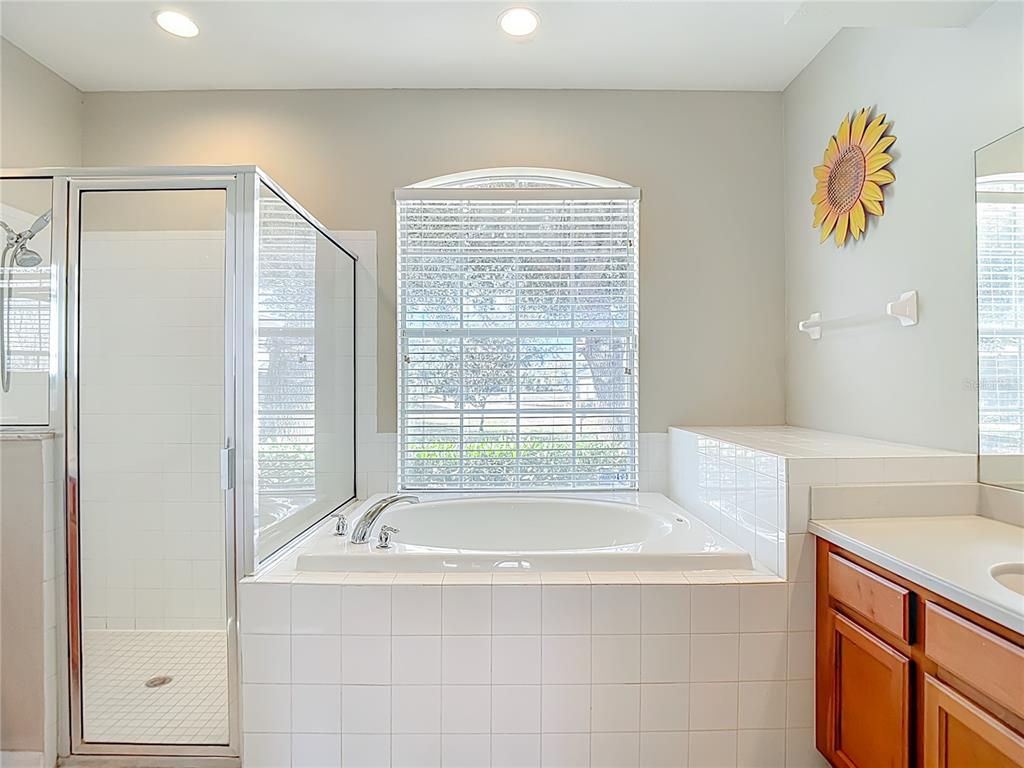 8942 Sandusky Lane New Port Richey, FL 34654 - Photo 44 of 87 a bathroom with a bathtub and a sink