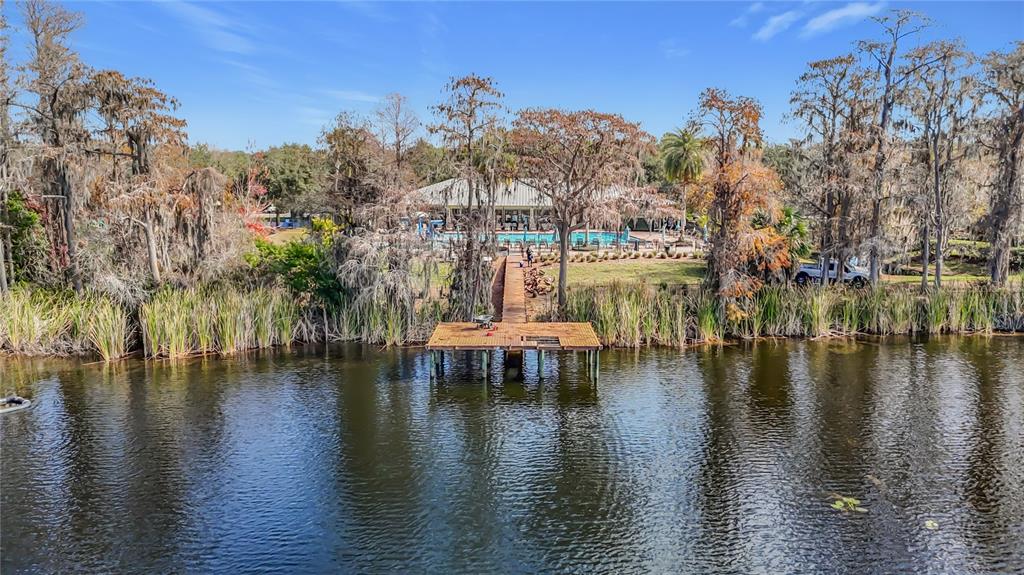 8942 Sandusky Lane New Port Richey, FL 34654 - Photo 86 of 87