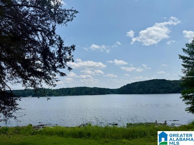 217 Smith Camp Road Adger, AL 35006 - Photo 4 of 19