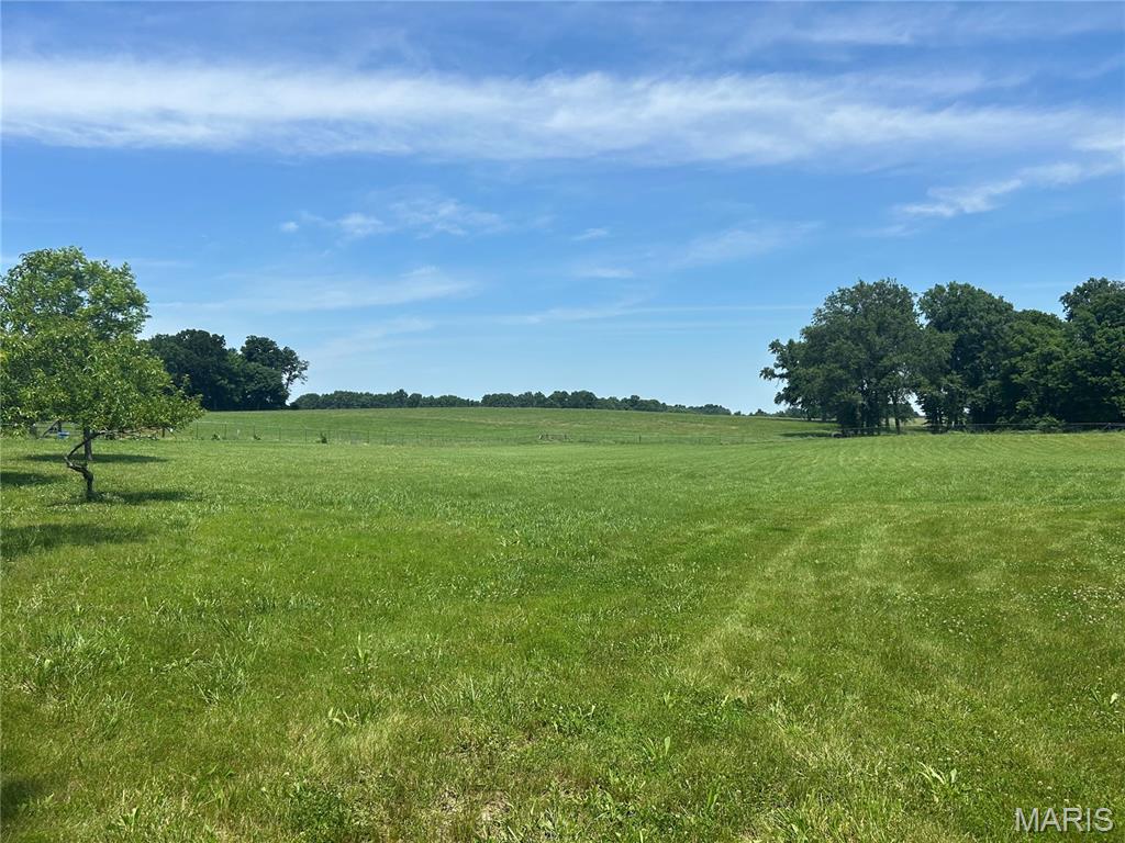 4243 Bushy Prairie Road Waterloo, IL 62298 - Photo 8 of 15