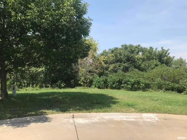 a view of a green field with a tree
