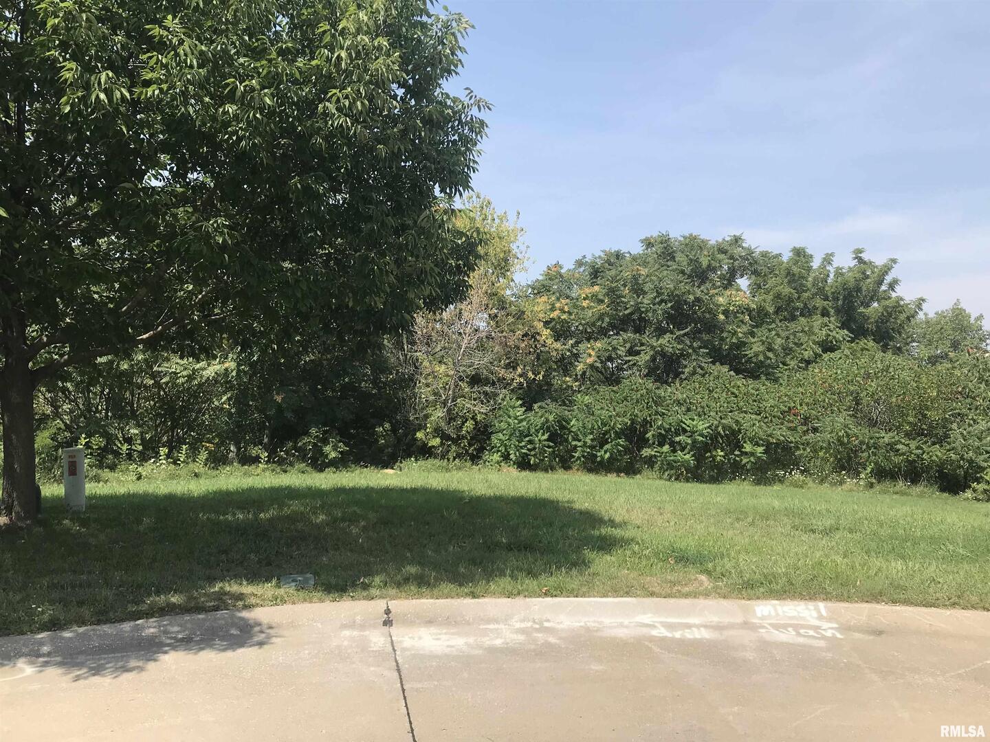 a view of a green field with a tree