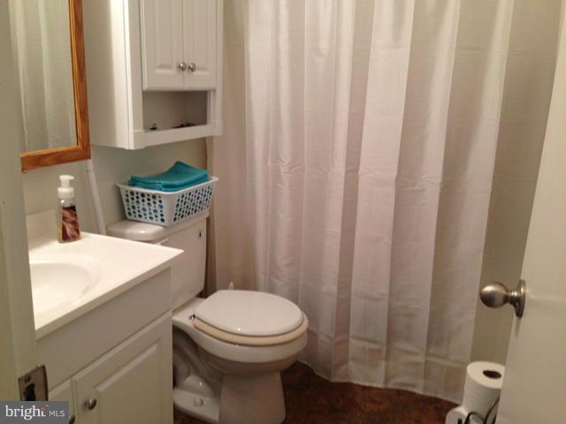 341 Luchase Road Linden, VA 22642 - Photo 2 of 30 a bathroom with a toilet a sink and a mirror