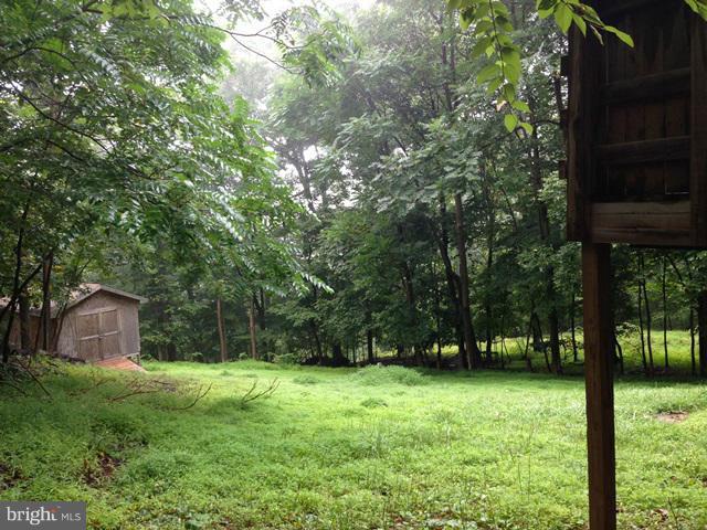 341 Luchase Road Linden, VA 22642 - Photo 13 of 30 a backyard of a house with lots of green space