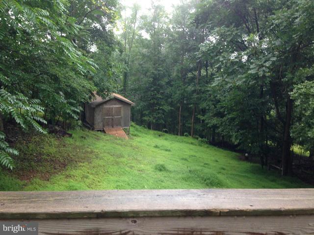 341 Luchase Road Linden, VA 22642 - Photo 15 of 30 a backyard of a house with lots of green space