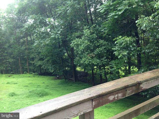 341 Luchase Road Linden, VA 22642 - Photo 16 of 30 a view of a garden from a window