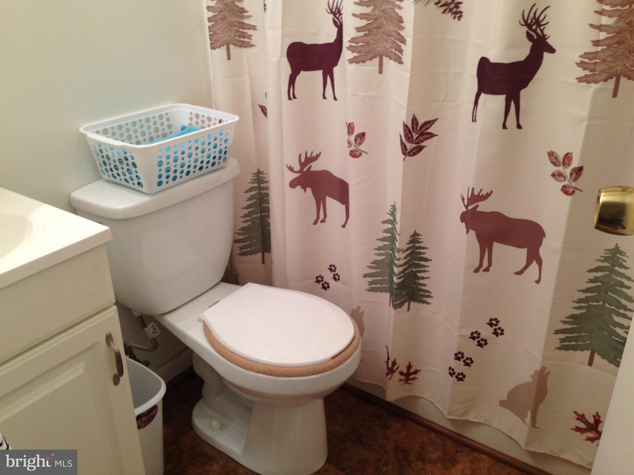 341 Luchase Road Linden, VA 22642 - Photo 22 of 30 a bathroom with a toilet and shower