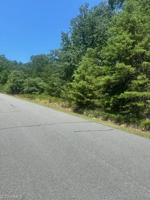 1953 Sierra Trace Road Denton, NC 27239 - Photo 6 of 8