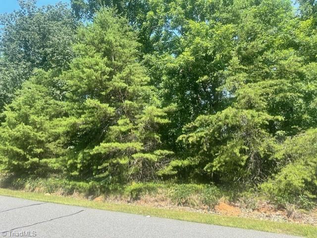 1953 Sierra Trace Road Denton, NC 27239 - Photo 7 of 8